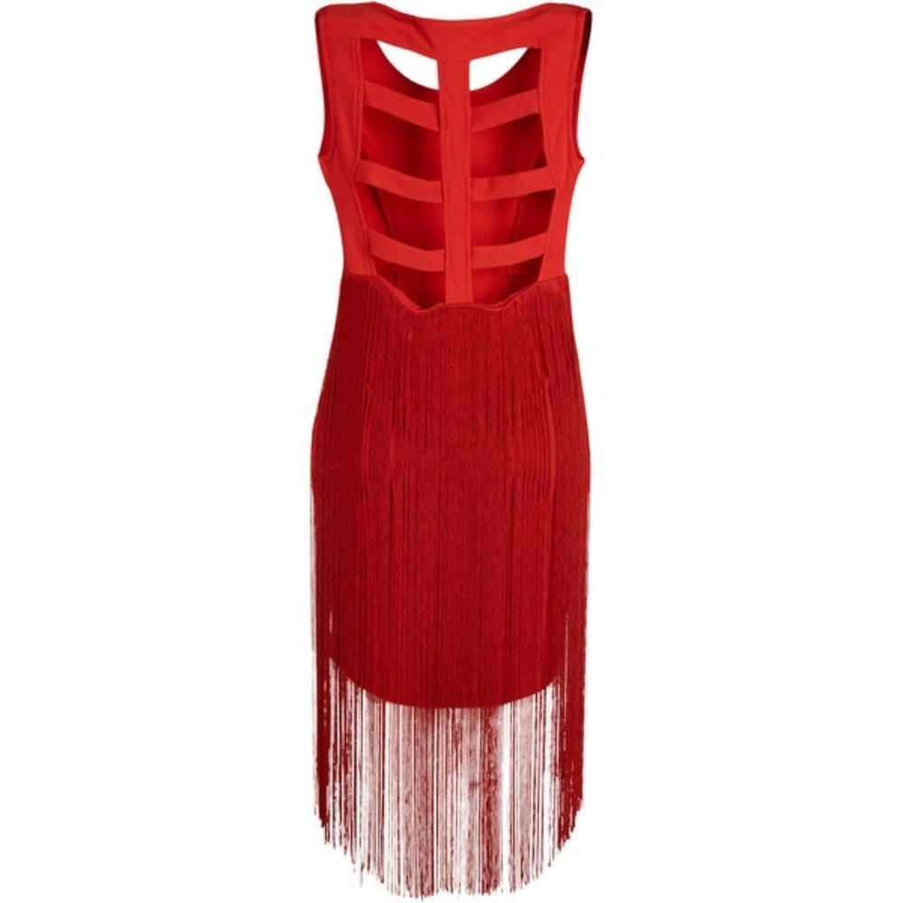 Size 2 fringe salsa dress